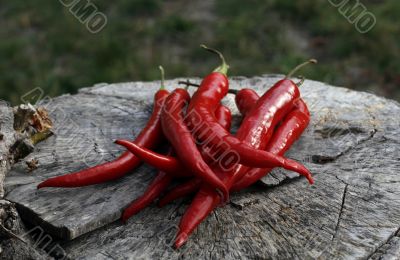 hot red chillies