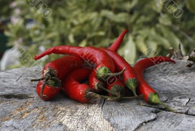 hot red chillies