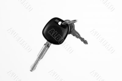 Microchiped Car Key