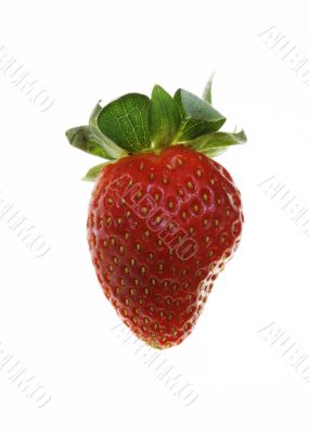 strawberry isolated on white background