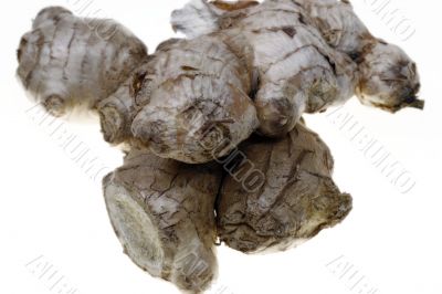 Raw ginger against white background