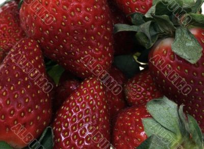 strawberry isolated on white background