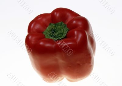 Red bell pepper. Isolated on white