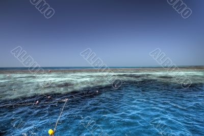 snorkeling at the great barrier reef