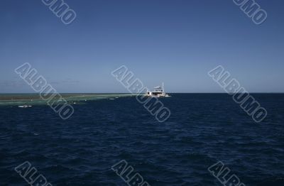 snorkeling at the great barrier reef