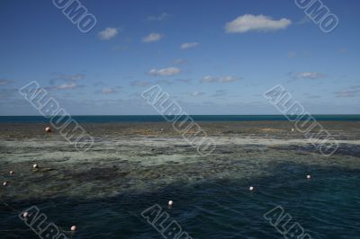 snorkeling at the great barrier reef