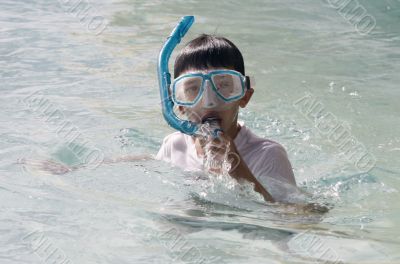 snorkeling at the great barrier reef