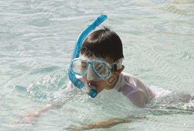 snorkeling at the great barrier reef