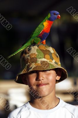 Rainbow lorikeet