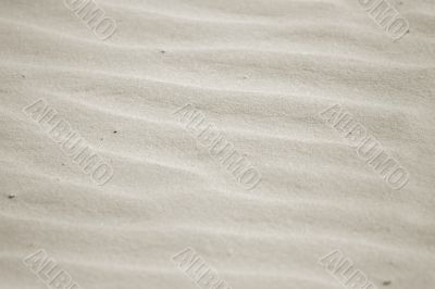 playing at the whitehaven beach