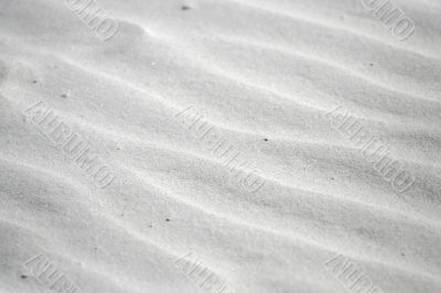 playing at the whitehaven beach