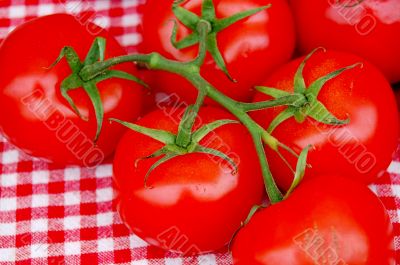 Farm Fresh Tomatoes