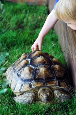 Child and Turtle