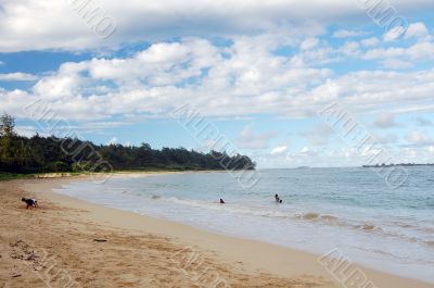 Laie Beach Honolulu Hawaii