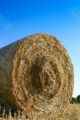 Hay bale closeup