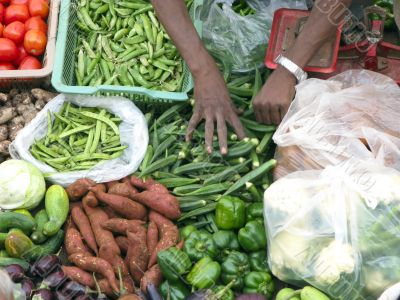 Selling Fresh Vegetable