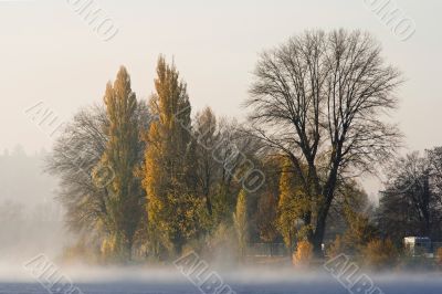 morning river