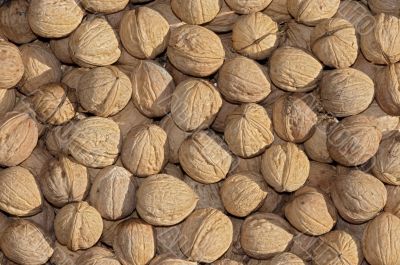 walnuts