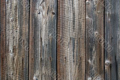 wood - texture