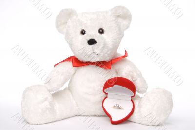 Bear Holding Engagement Ring