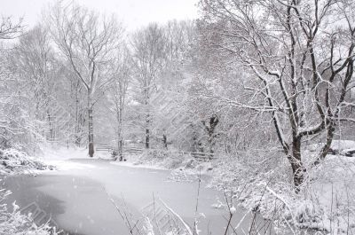 Icy Pond in New England