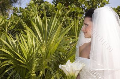 Caribbean Beach Wedding