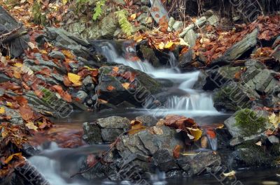 autumn creek