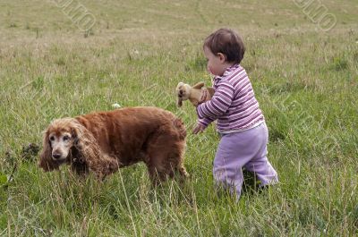 baby with dog