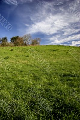 Spring field