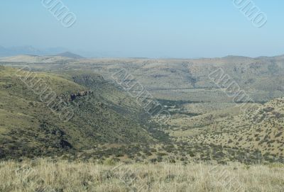 Mountain zebra national park