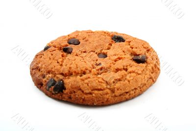 oatmeal cookie