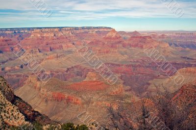 Grand Canyon View