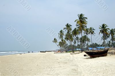 Goa Beaches Colva