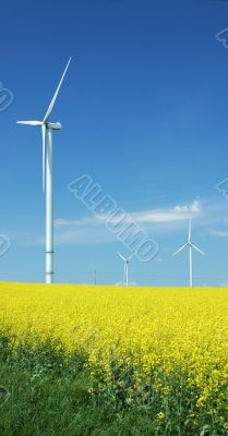 farm of windturbines close to rape field