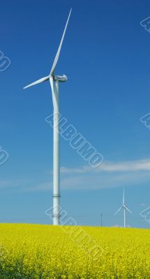 farm of windturbines close to rape field