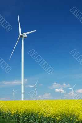 farm of windturbines close to rape field