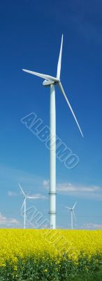 farm of windturbines close to rape field