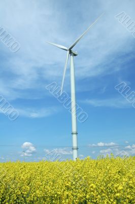 a windturbine into a rape field