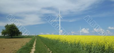 farm of windturbines close to rape field