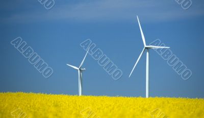 farm of winturbines close to rape field