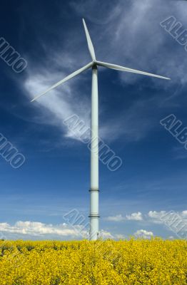 a windturbine into a rape field