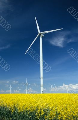 farm of windturbines close to rape field