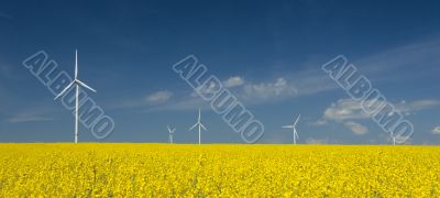 farm of windturbines close to rape field