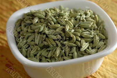 Fennel Seeds Dried as condiments