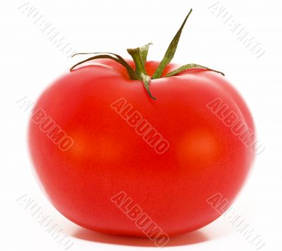 Fresh tomato