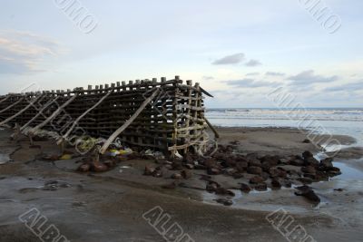 Shankarpur beach west bengal India