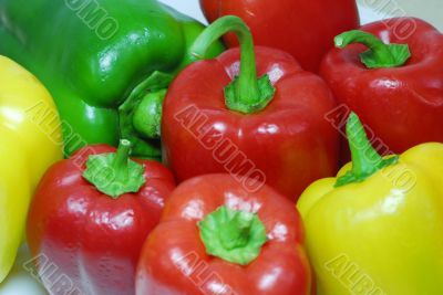 Bell Pepper Vegetable