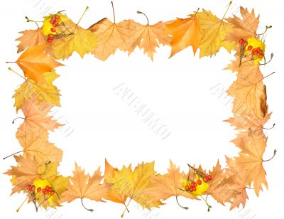 Frame of autumn yellow leaves with empty place for your image