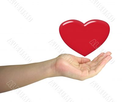 Human lady hand holding red heart isolated over white background