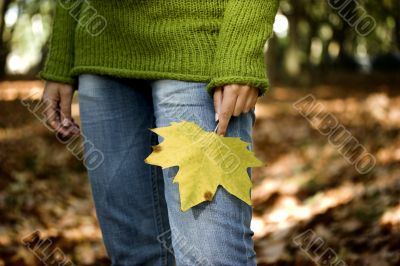 Autumn Leaf